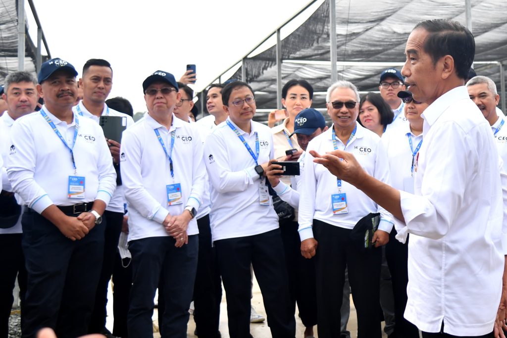 Presiden Jokowi Ajak Sejumlah Pemimpin Perusahaan Tinjau Persemaian Mentawir